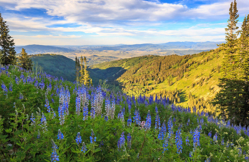 Mountains at Natural Retreats Park City.