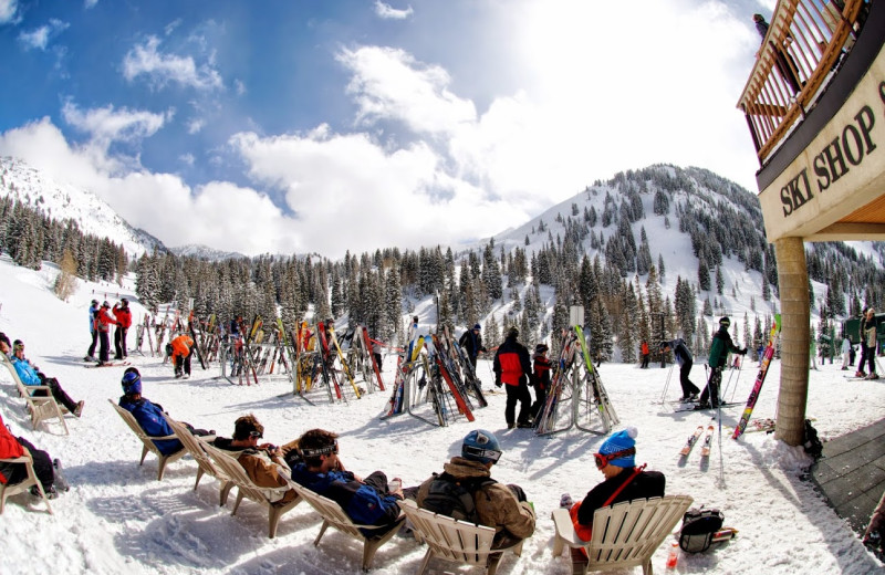 Alta Lodge (Alta, UT) Resort Reviews