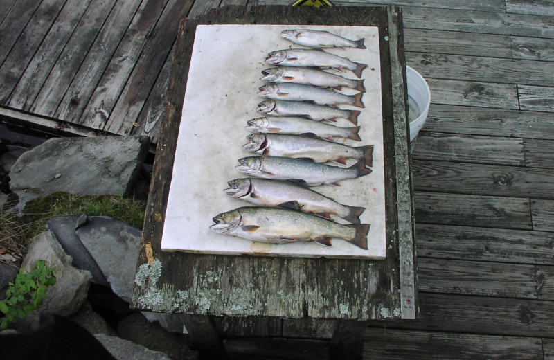 Big Catch at Powder Horn Lodge