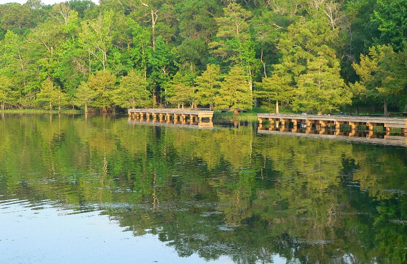Lake at D'Arbonne Pointe.