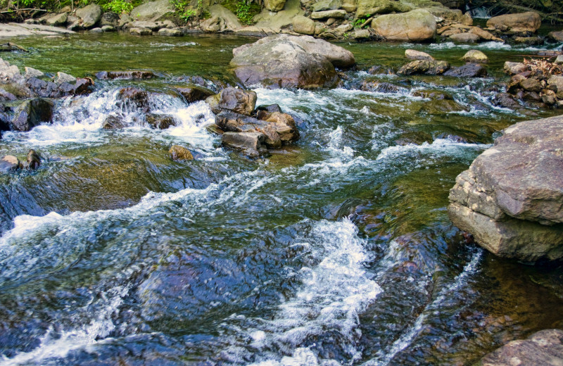 View of stream from Ascend Hotel Collection-The Woodlands Inn.