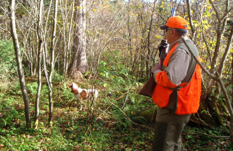 Hunting at Cabins at Lopstick.