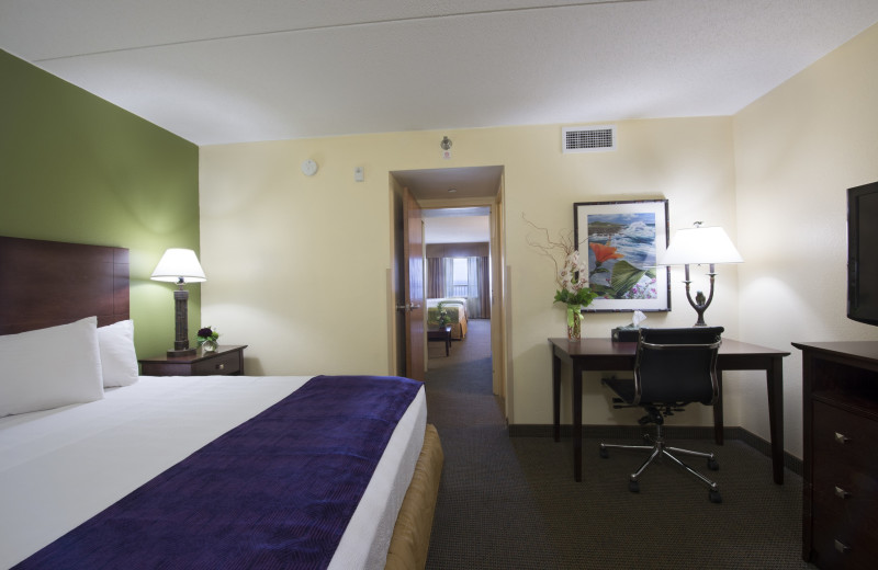 Guest room at EdgeWater Resort and Waterpark.