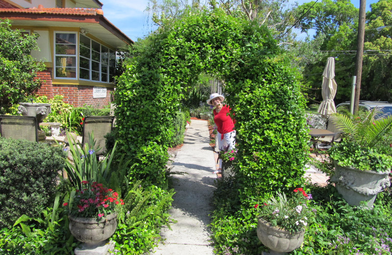 Garden at Dickert House.