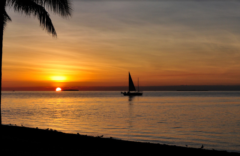 Beach near The Paradise Inn.