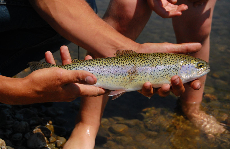 Fishing at Kendall Valley Lodge.