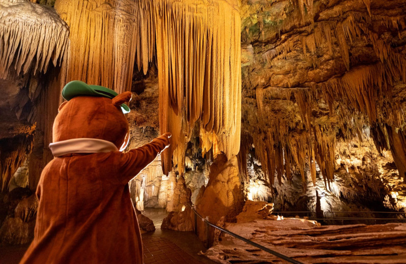 Cave near Yogi Bear's Jellystone Park™ in Luray, VA.