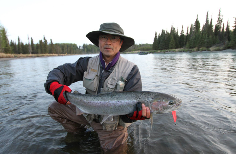 Soldotna B&B Lodge and Alaska Fishing Charters (Soldotna, AK) - Resort