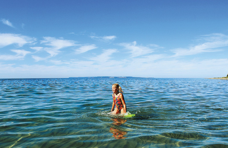 Paddle board at The Homestead.
