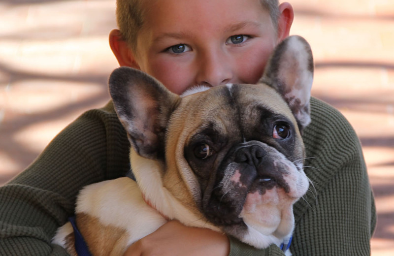 Pets welcome at McCaffrey House Bed and Breakfast.