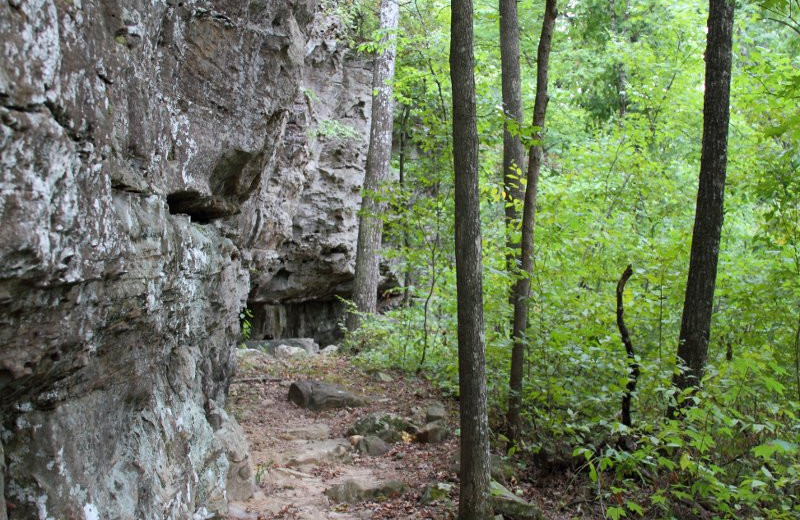 Hiking at Azalea Falls Lodge.