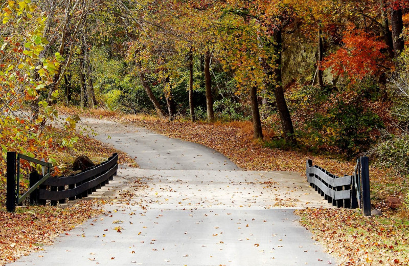 Fall at Cohutta Springs Conference Center.