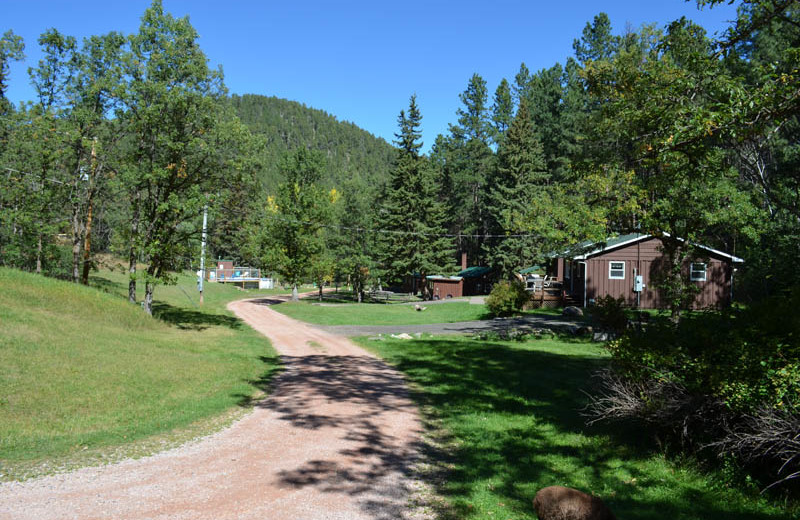 Cabins at Backroads Inn and Cabins.