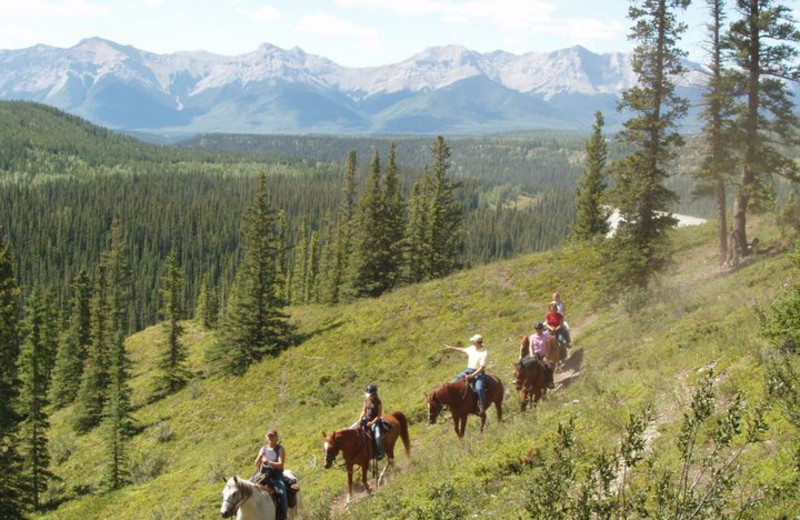 Trail Ride at Old Entrance B 'n B Cabins