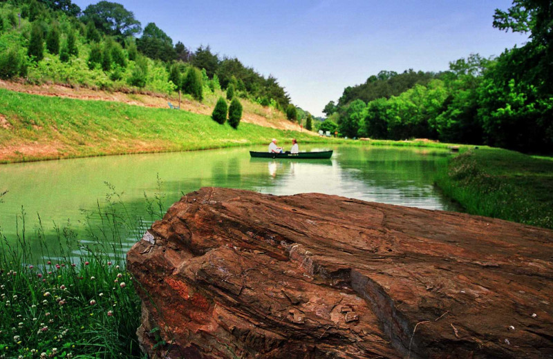 Canoeing at Berry Springs Lodge.