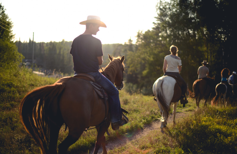 Horseback ride at Falcon Beach Ranch.