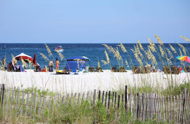 The beach at Young's Suncoast.