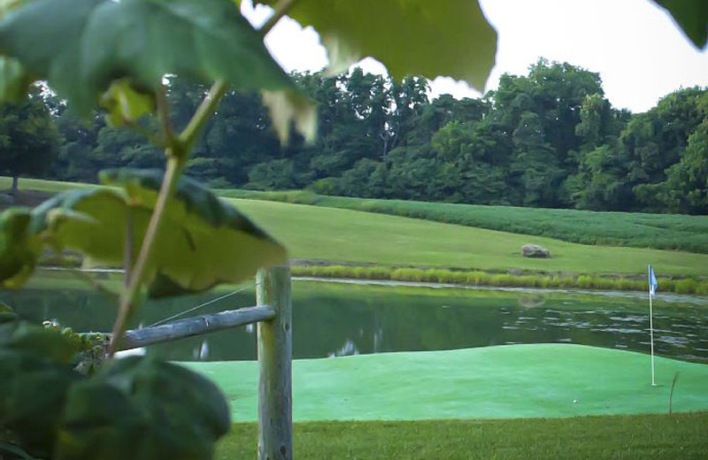 Golf course at Elk Ridge Ranch.