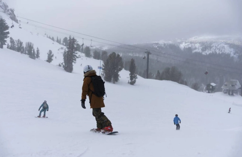 Snowboard near Lake Front Cabins.