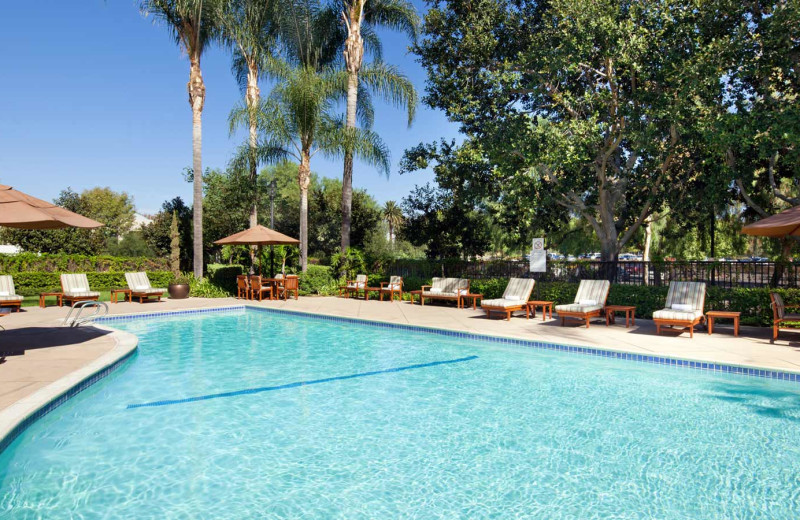 Outdoor pool at Sheraton Suites Fairplex.