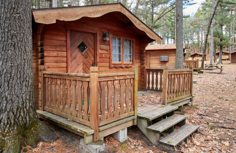 Cabins at Yogi Bear's Jellystone Park Warrens.