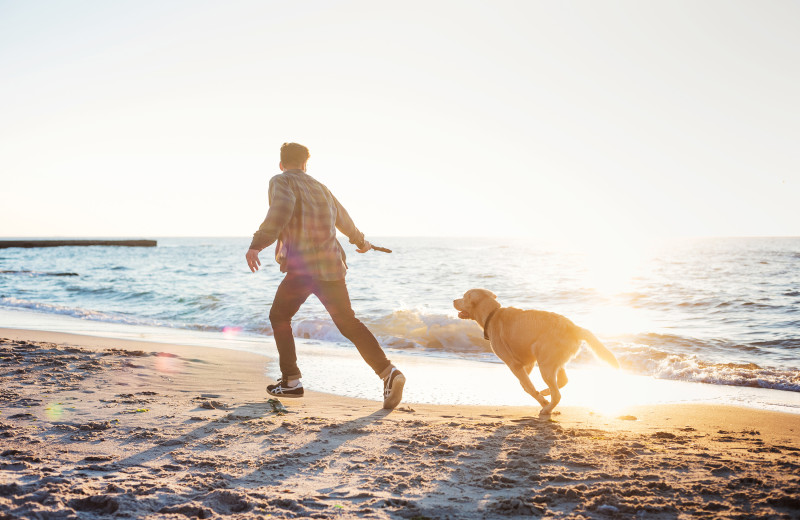 Pets welcome at Gulf Winds Resort Condominiums.