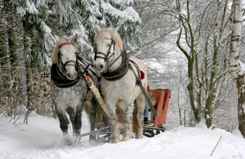 Sleigh rides at The Red Clover Inn & Restaurant.