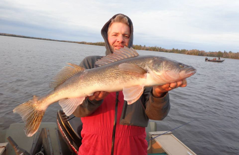 Walleye fishing at Timber Bay Lodge & Houseboats.
