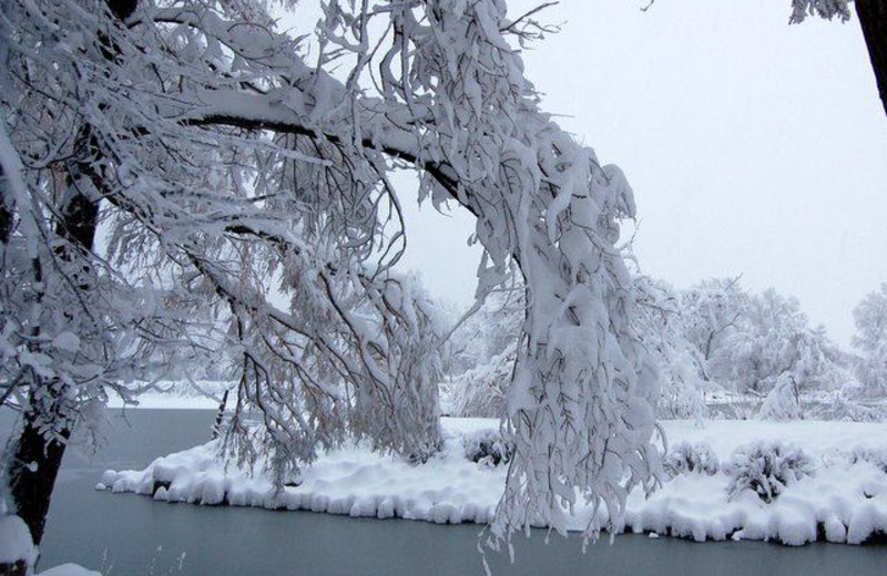 Lake in winter at Lazy Oaks Resort.