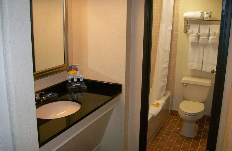 Guest bathroom at Atrium Hotel and Suites DFW Airport South.