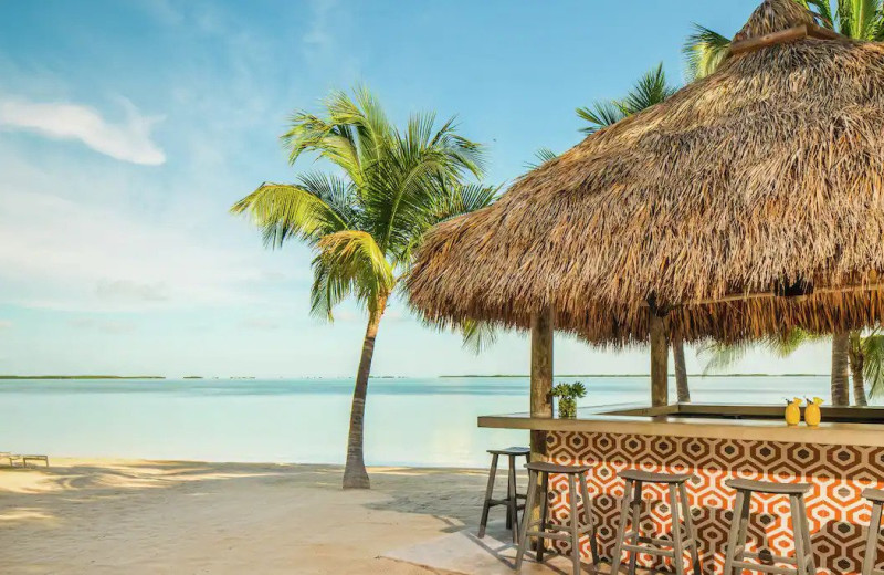 Beach at Baker's Cay Resort Key Largo, Curio Collection by Hilton.