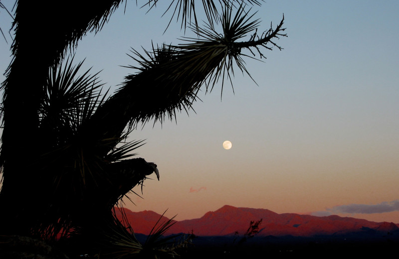 View from Stagecoach Trails Guest Ranch.