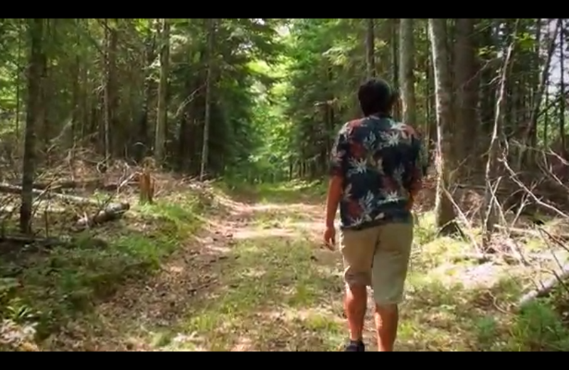 Hiking at Evergreen Lodge.