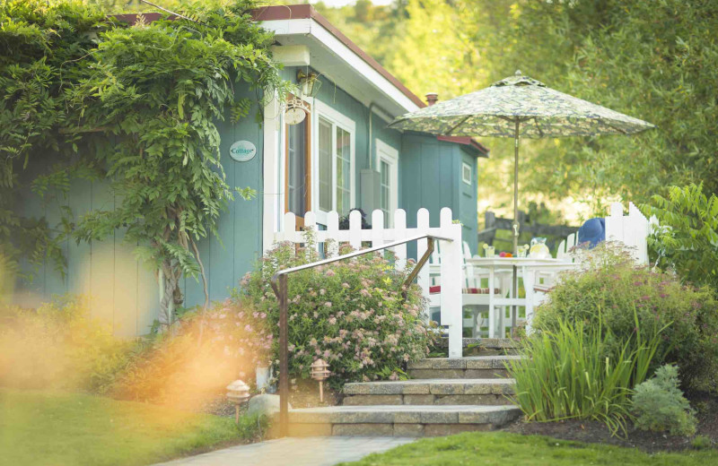 Patio at Country Willows B