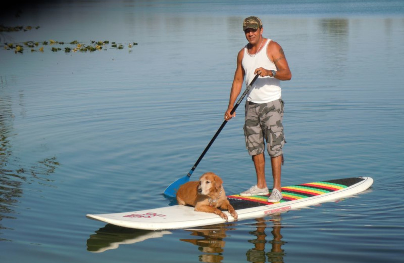 Paddle board at Beach Vacation Rentals.