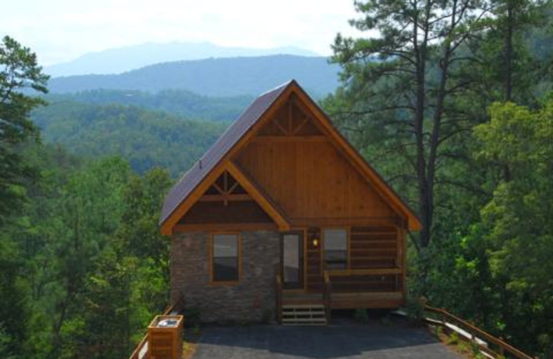 Pigeon Forge Vacation Rentals - Cabin - Luxury 2-Bedroom ...