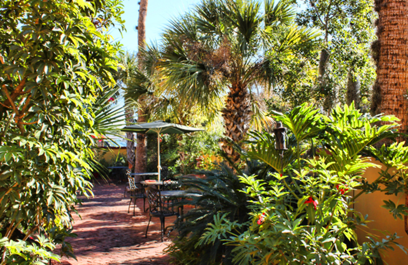 Garden view at Old City House Inn & Restaurant.