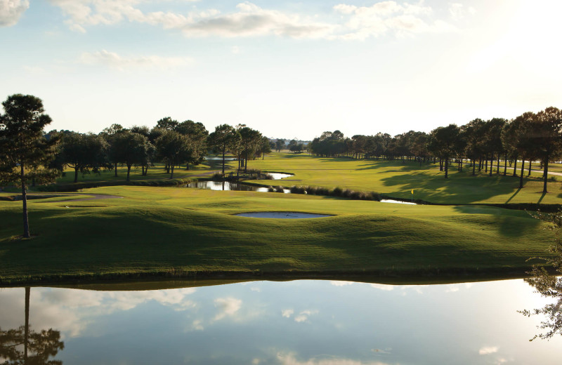 Golf course at Luna Beach Properties.