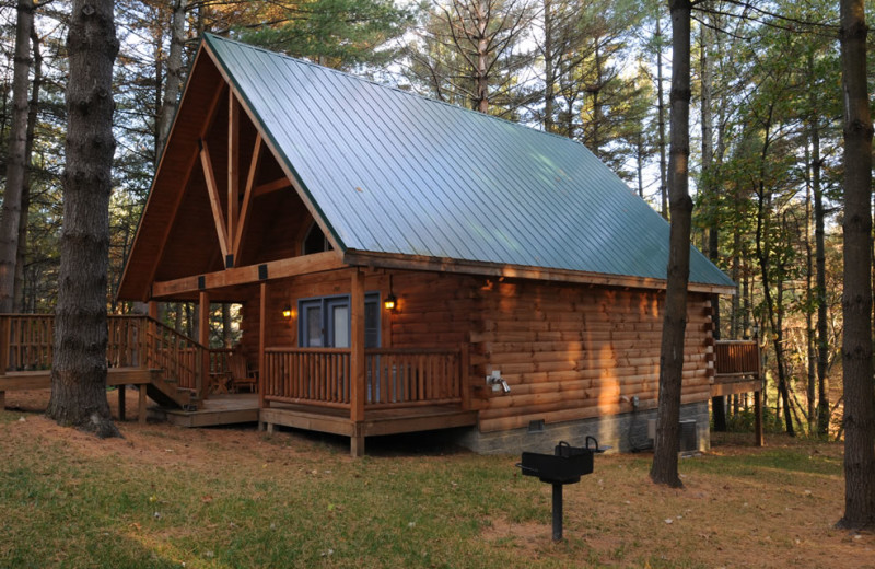 Pet friendly cabins at The Cabins at Pine Haven.