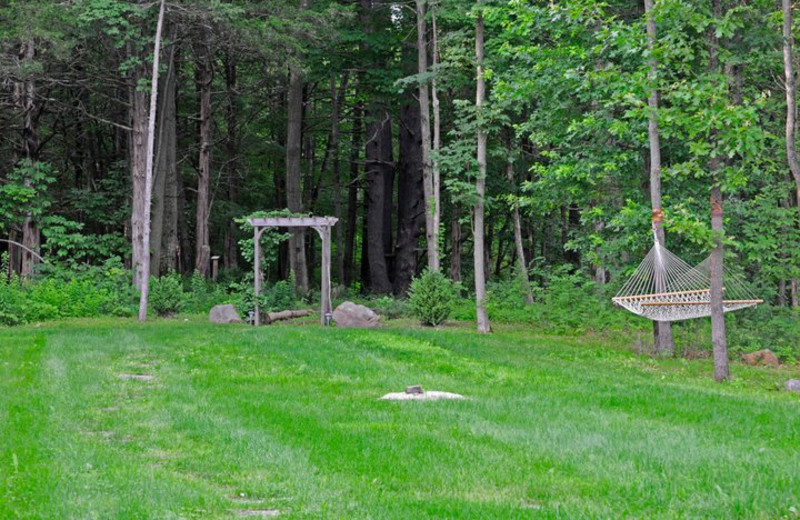 Yard view at Moondance Ridge Bed & Breakfast.