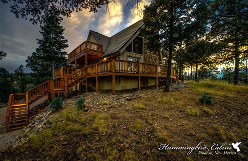 Exterior view of Hummingbird Cabins - Holly House Vacation Rental