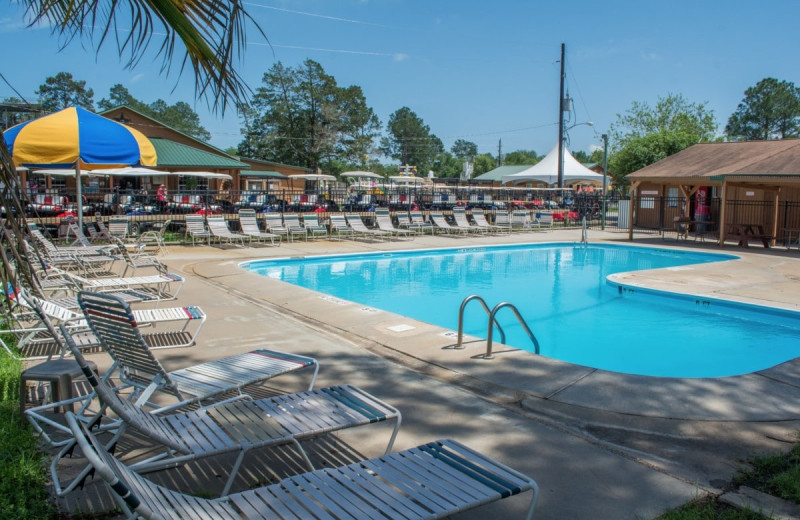 Outdoor pool at Lone Star Jellystone.