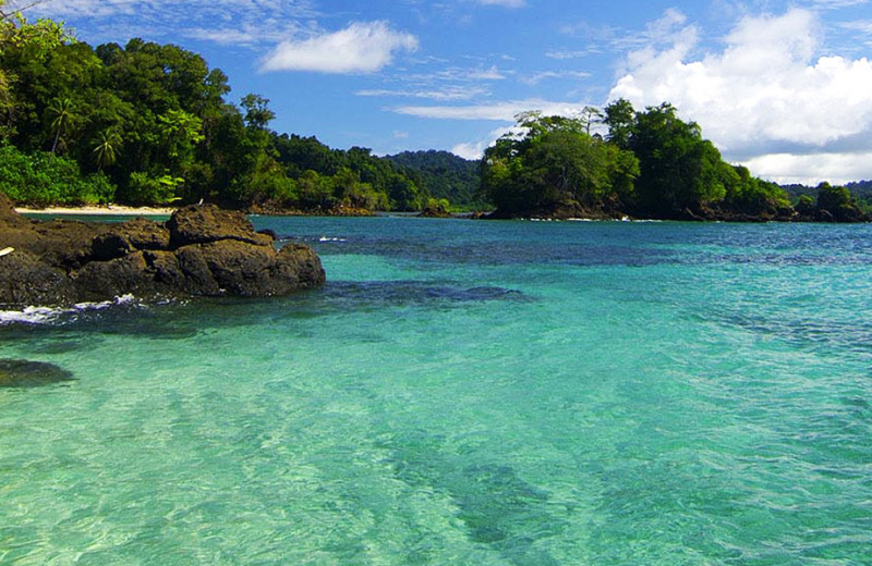 Shoreline at El Rio Negro Sport Fishing.