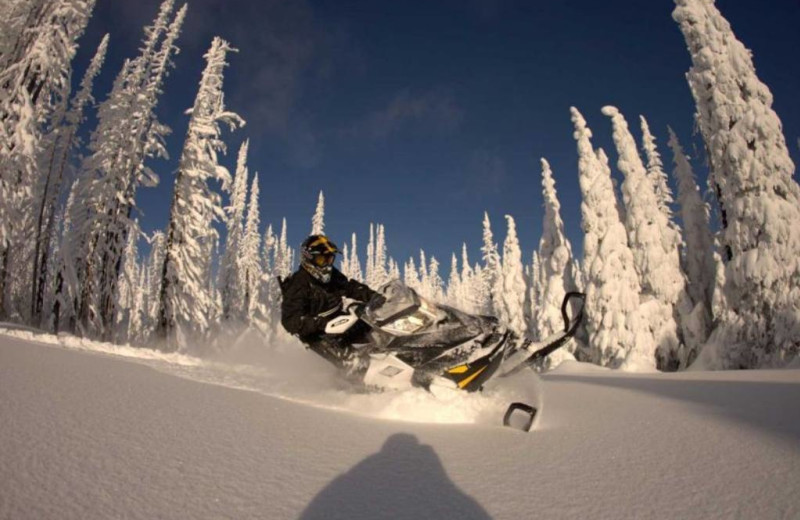 Snowmobiling at Willows