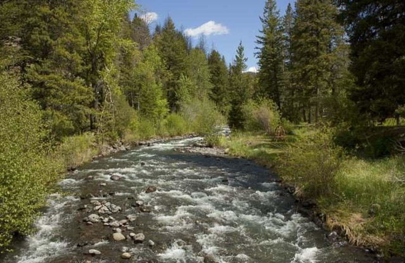 River view at Absaroka Mountain Lodge.