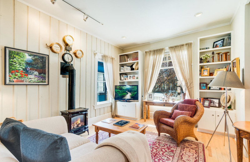 Rental living room at Accommodations in Telluride.