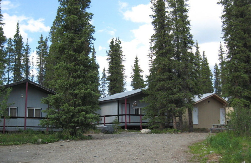 Cabin exterior at Denali Perch Resort.