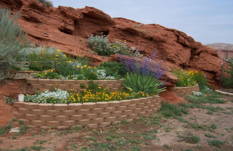 Gardens at K3 Guest Ranch.