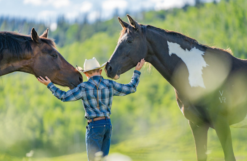 Horses at Vista Verde Ranch.