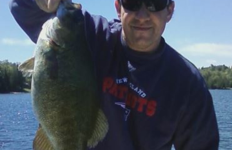 Wallace Pond is teaming with trophy-class small mouth bass, right off the sandy beach at Jackson's Lodge, Canaan, Vermont's Northeast Kingdom..